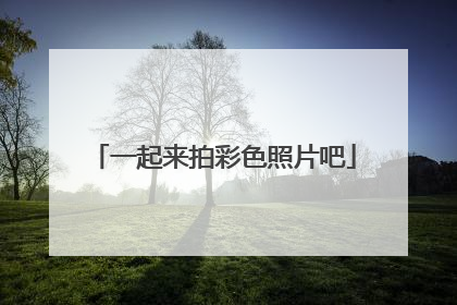 一起来拍彩色照片吧