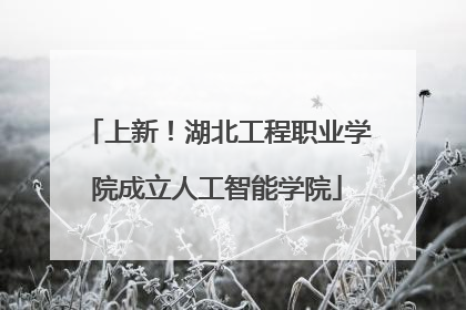 上新！湖北工程职业学院成立人工智能学院