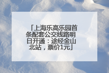 上海乐高乐园首条配套公交线路明日开通：途经金山北站，票价1元