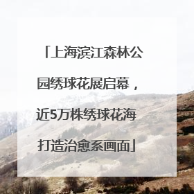 上海滨江森林公园绣球花展启幕，近5万株绣球花海打造治愈系画面