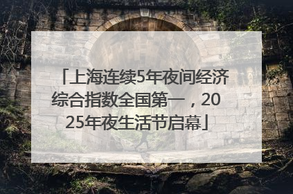上海连续5年夜间经济综合指数全国第一，2025年夜生活节启幕