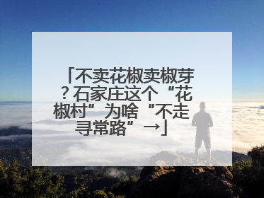 不卖花椒卖椒芽？石家庄这个“花椒村”为啥“不走寻常路”→
