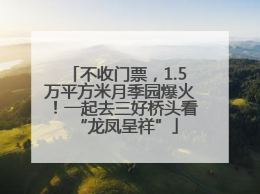 不收门票，1.5万平方米月季园爆火！一起去三好桥头看“龙凤呈祥”
