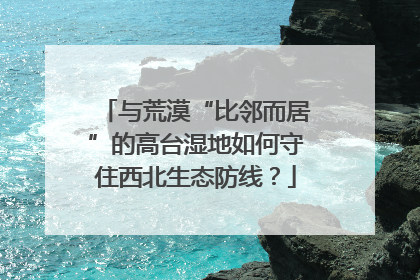 与荒漠“比邻而居”的高台湿地如何守住西北生态防线？