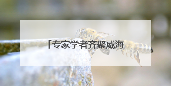 专家学者齐聚威海临港，共谋零碳园区规划建设创新之路