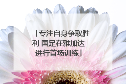专注自身争取胜利 国足在雅加达进行首场训练