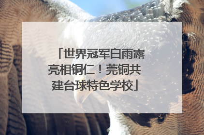 世界冠军白雨露亮相铜仁！莞铜共建台球特色学校
