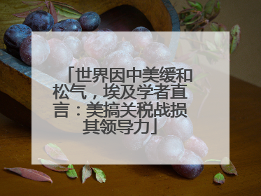 世界因中美缓和松气，埃及学者直言：美搞关税战损其领导力