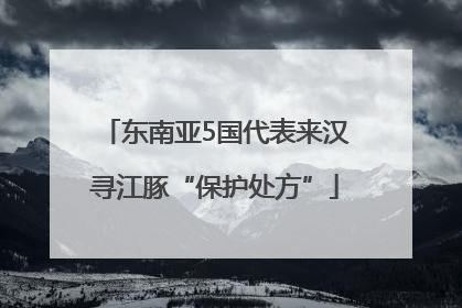 东南亚5国代表来汉寻江豚“保护处方”