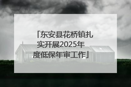 东安县花桥镇扎实开展2025年度低保年审工作