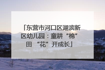 东营市河口区湖滨新区幼儿园：童耕“棉”田 “花”开成长