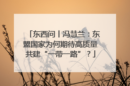 东西问丨冯慧兰：东盟国家为何期待高质量共建“一带一路”？
