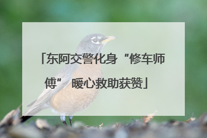 东阿交警化身“修车师傅” 暖心救助获赞