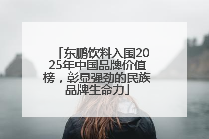 东鹏饮料入围2025年中国品牌价值榜，彰显强劲的民族品牌生命力