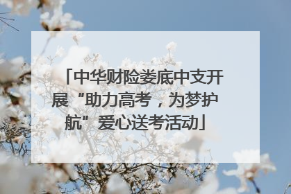 中华财险娄底中支开展“助力高考，为梦护航”爱心送考活动