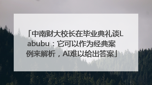 中南财大校长在毕业典礼谈Labubu：它可以作为经典案例来解析，AI难以给出答案