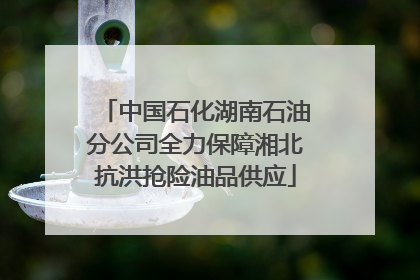 中国石化湖南石油分公司全力保障湘北抗洪抢险油品供应