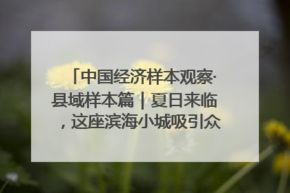 中国经济样本观察·县域样本篇｜夏日来临，这座滨海小城吸引众多年轻人打卡……