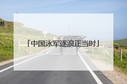 中国泳军逐浪正当时