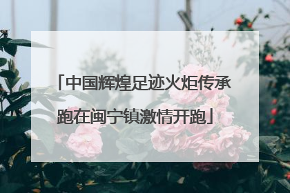 中国辉煌足迹火炬传承跑在闽宁镇激情开跑
