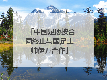 中国足协按合同终止与国足主帅伊万合作
