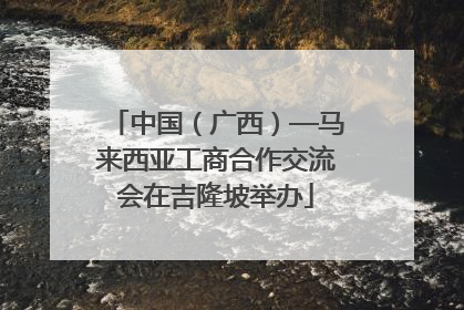 中国（广西）—马来西亚工商合作交流会在吉隆坡举办