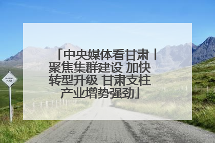 中央媒体看甘肃丨聚焦集群建设 加快转型升级 甘肃支柱产业增势强劲