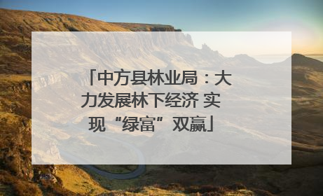 中方县林业局：大力发展林下经济 实现“绿富”双赢