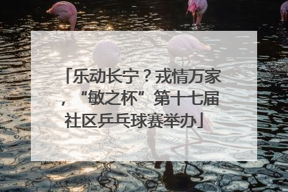 乐动长宁？戎情万家，“敏之杯”第十七届社区乒乓球赛举办