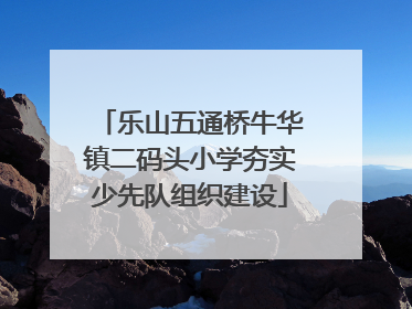 乐山五通桥牛华镇二码头小学夯实少先队组织建设