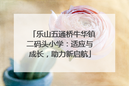 乐山五通桥牛华镇二码头小学：适应与成长，助力新启航