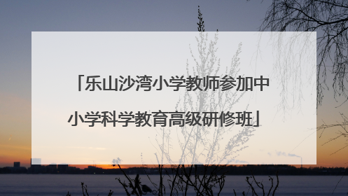 乐山沙湾小学教师参加中小学科学教育高级研修班