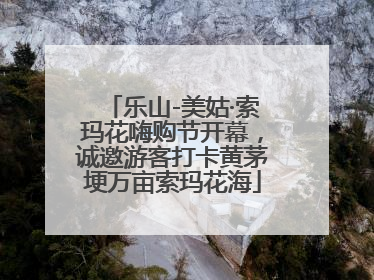 乐山-美姑·索玛花嗨购节开幕，诚邀游客打卡黄茅埂万亩索玛花海