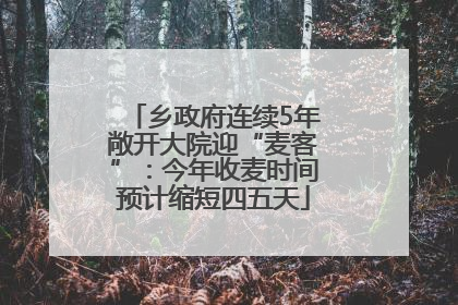 乡政府连续5年敞开大院迎“麦客”：今年收麦时间预计缩短四五天