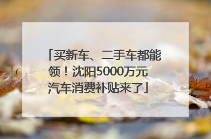 买新车、二手车都能领！沈阳5000万元汽车消费补贴来了