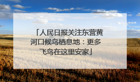 人民日报关注东营黄河口候鸟栖息地：更多飞鸟在这里安家