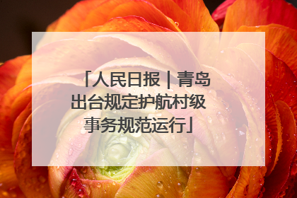 人民日报｜青岛出台规定护航村级事务规范运行