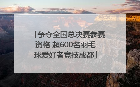 争夺全国总决赛参赛资格 超600名羽毛球爱好者竞技成都