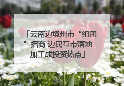 云南边境州市“组团”招商 边民互市落地加工成投资热点
