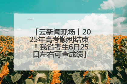 云新闻现场丨2025年高考顺利结束！我省考生6月25日左右可查成绩