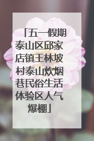 五一假期泰山区邱家店镇王林坡村泰山炊烟巷民俗生活体验区人气爆棚