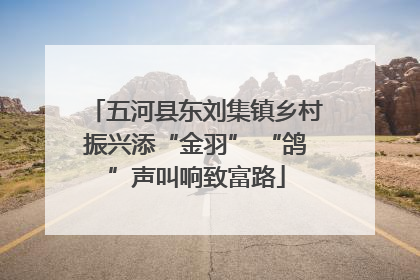 五河县东刘集镇乡村振兴添“金羽” “鸽”声叫响致富路