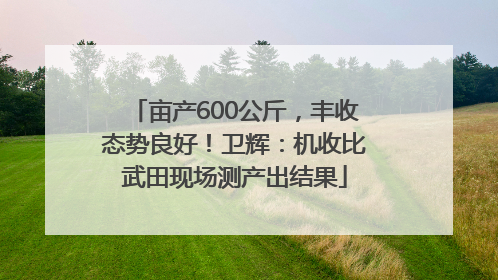 亩产600公斤，丰收态势良好！卫辉：机收比武田现场测产出结果