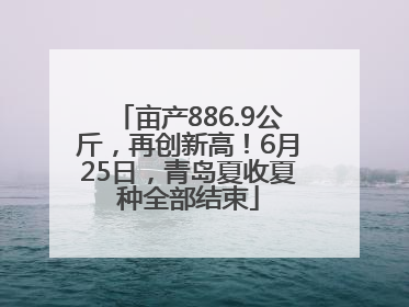 亩产886.9公斤，再创新高！6月25日，青岛夏收夏种全部结束
