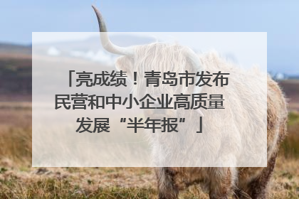 亮成绩！青岛市发布民营和中小企业高质量发展“半年报”