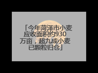 今年菏泽市小麦应收面积约930万亩，超九成小麦已颗粒归仓