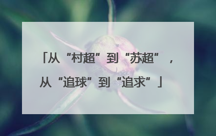 从“村超”到“苏超”，从“追球”到“追求”