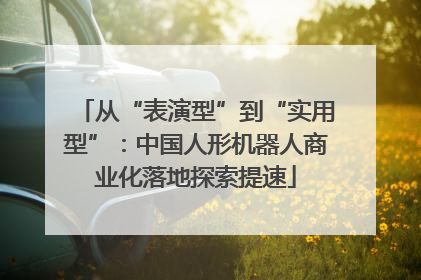 从“表演型”到“实用型”：中国人形机器人商业化落地探索提速