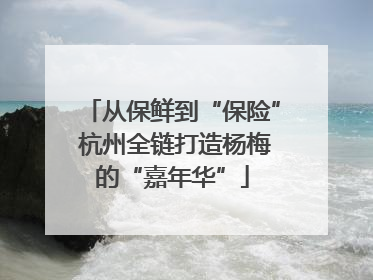 从保鲜到“保险” 杭州全链打造杨梅的“嘉年华”