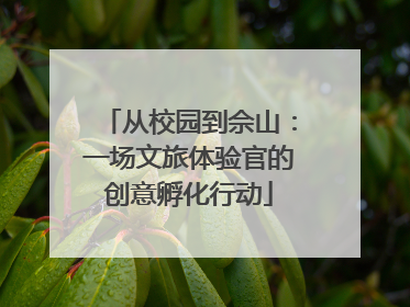 从校园到佘山：一场文旅体验官的创意孵化行动